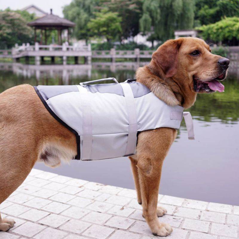 Pet Vest Life Jacket - Kimora