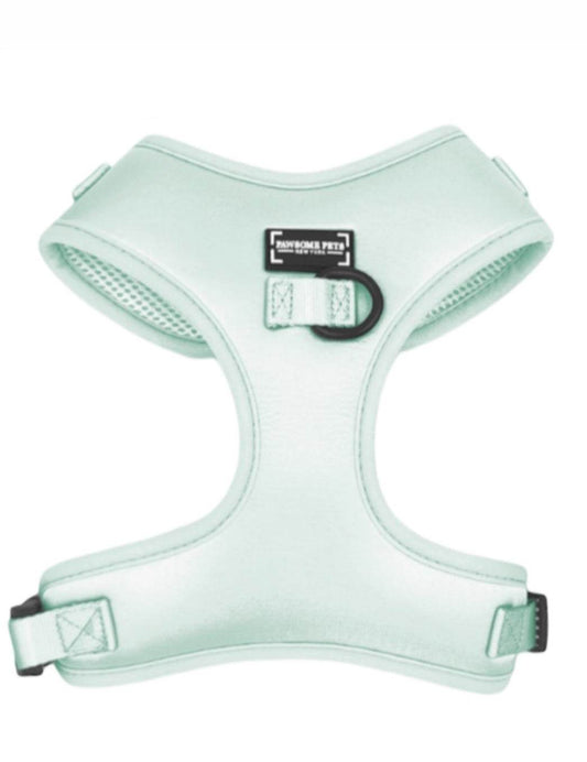 BUNDLE - MINT GREEN - Kimora
