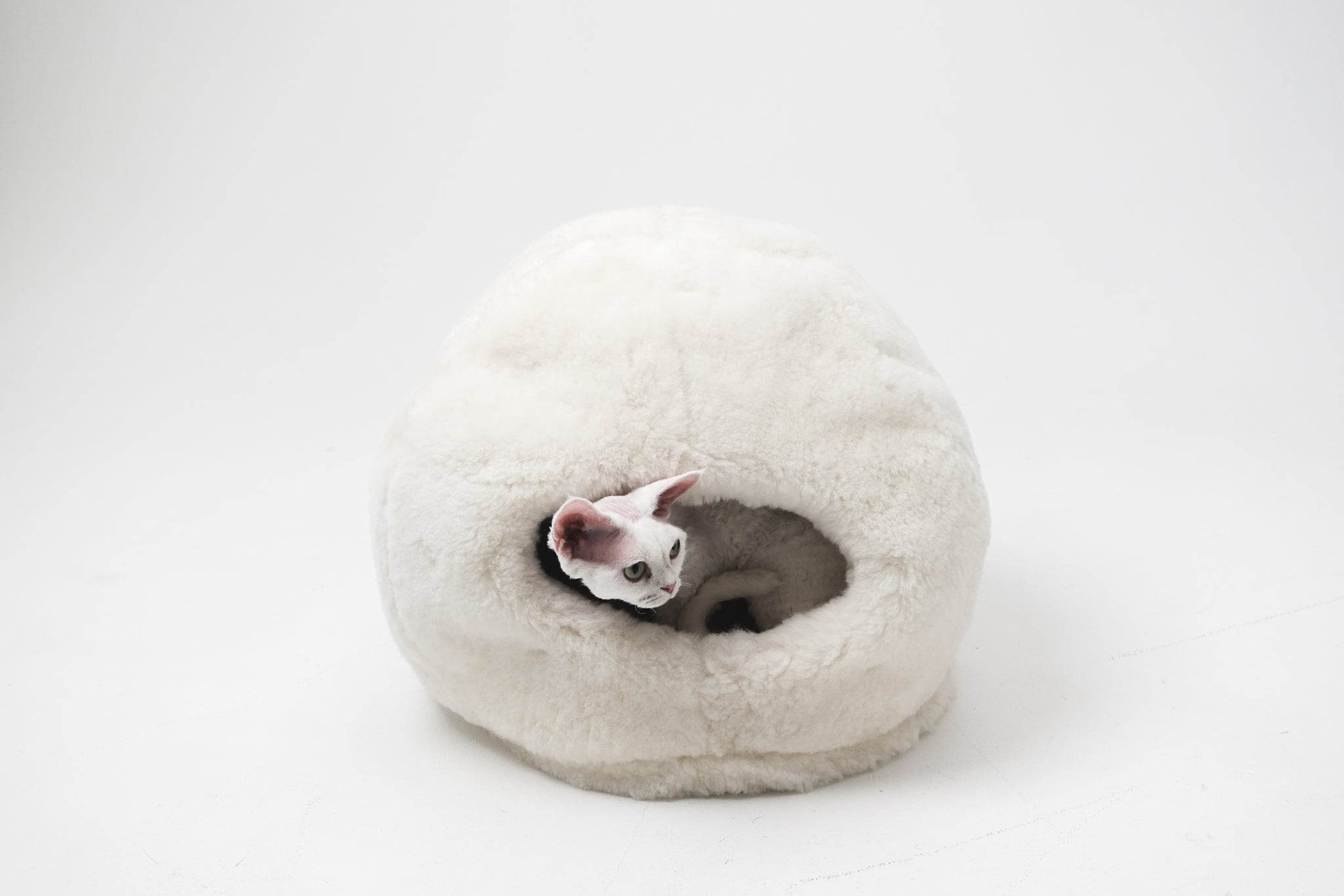 Nest Natural Sheepskin Pet Bed - White - Kimora