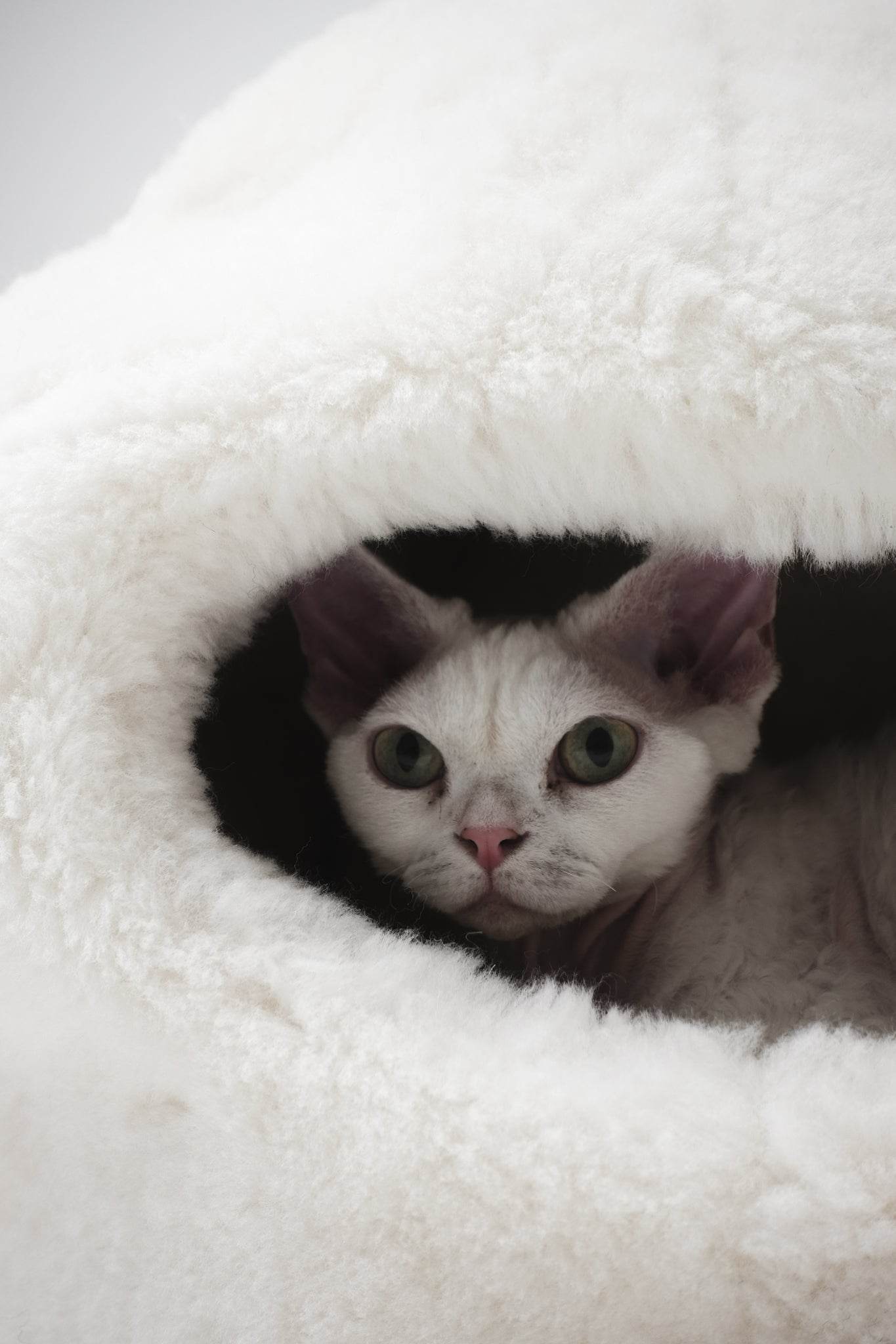 Nest Natural Sheepskin Pet Bed - White - Kimora